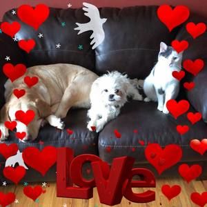 Meet your Posher, Rick